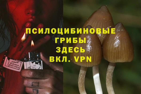 Альфа ПВП Белоозёрский